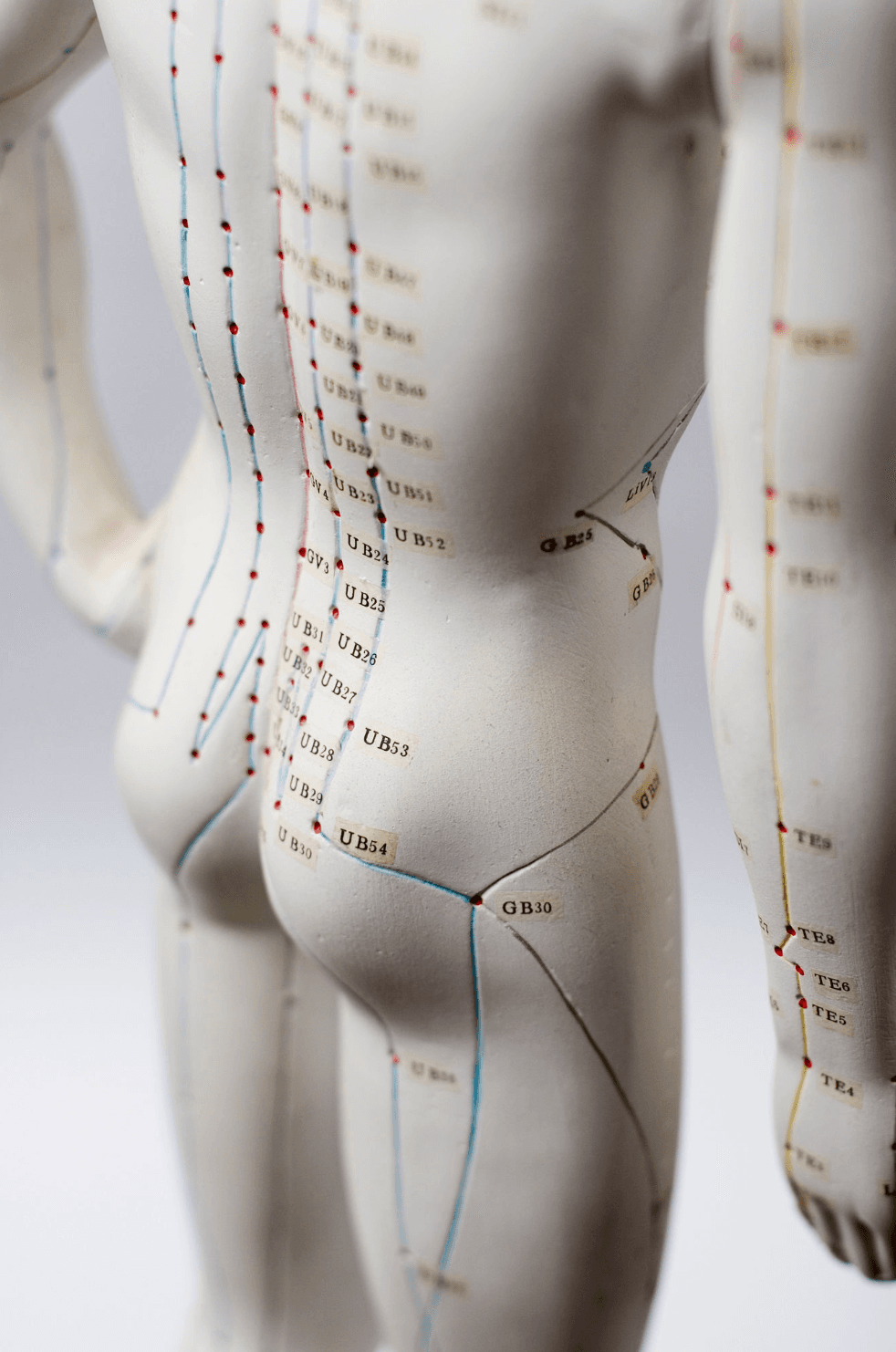 Pain in Traditional Chinese Medicine: What Your Body Is Trying to Tell You?